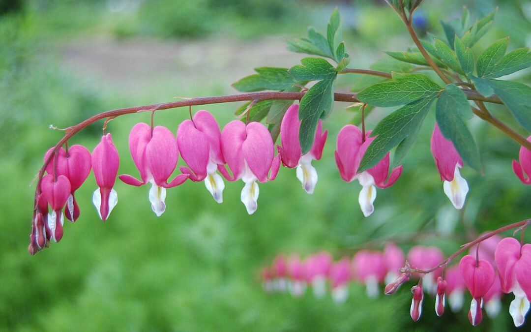 You and the Cosmic Heart